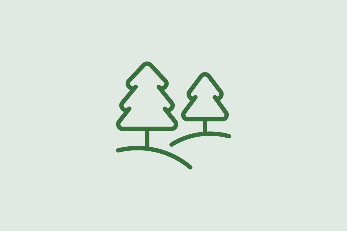  Icon Wald