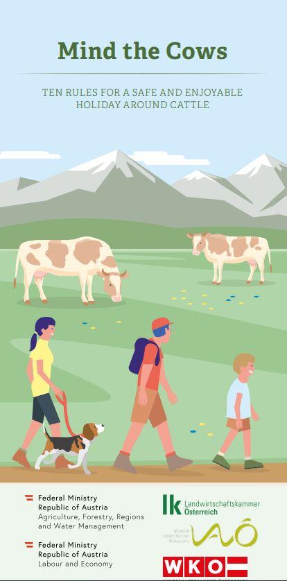 Cover Mind the Cows