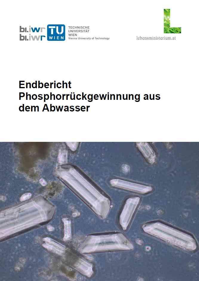 Phosphorrückgewinnung aus dem Abwasser