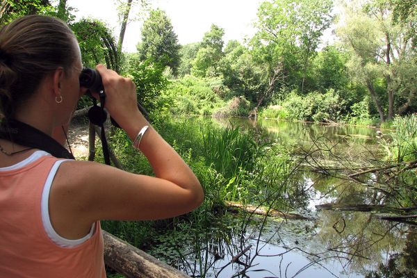 Nationalpark Donau-Auen