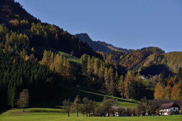 Landschaft