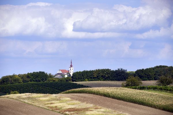 Landschaft