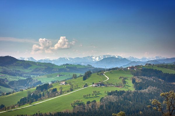 Landschaft