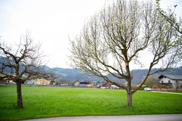Landschaftsaufnahme