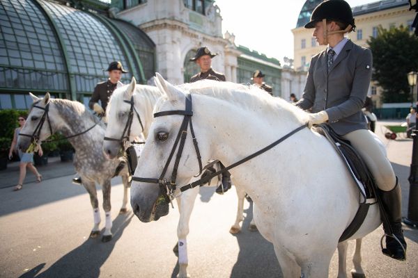 Ausritt der Lipizzaner