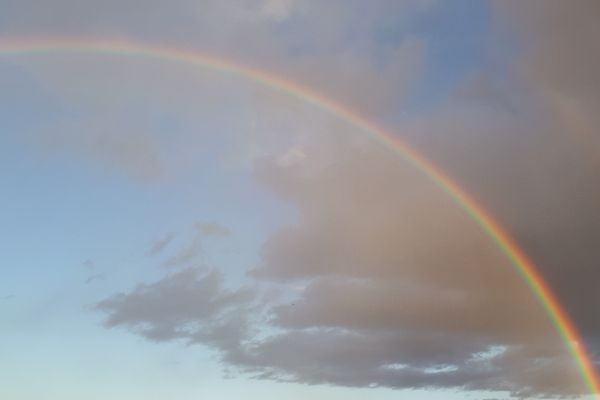 Regenbogen