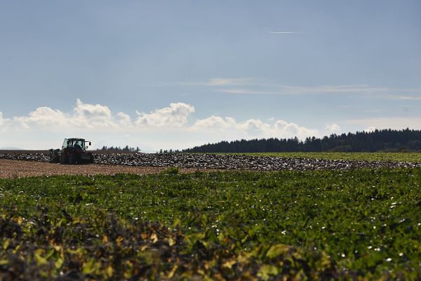 Traktor beim Stoppelsturz