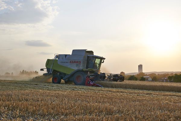 Mähdrescher am Feld