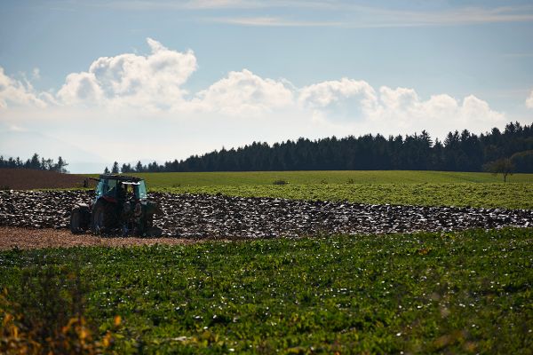 Feldarbeit