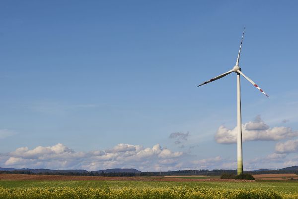 Grünlandfläche mit Windrad