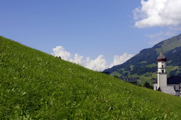 Grünland