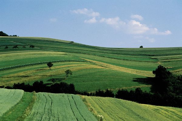 Gründland - Kulturlandschaft im Spätsommer
