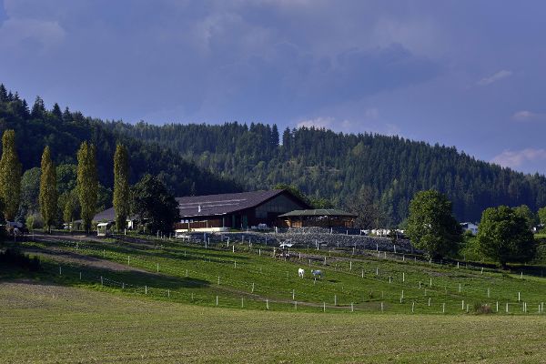 Reiterhof