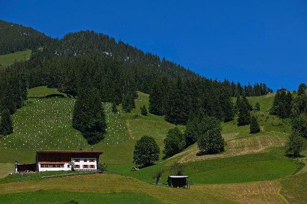 Bergbauernhof