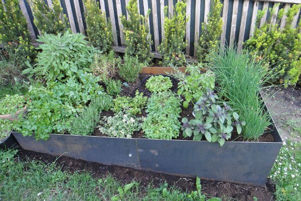 Kleiner Gemüsegarten