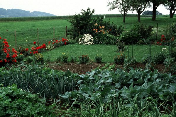 Hausgarten