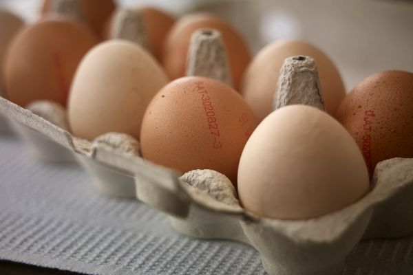 Eier