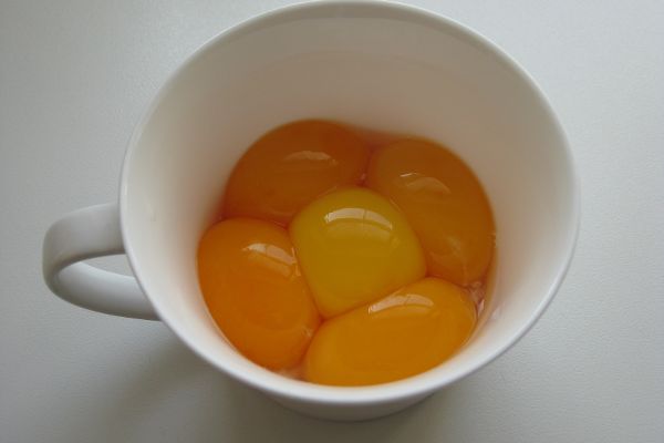 Eidotter in Tasse