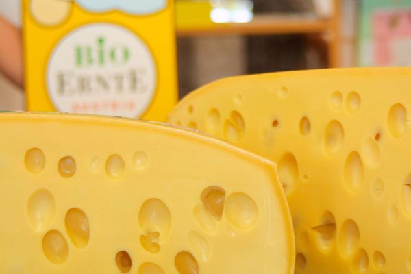 Biokäse
