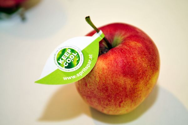 Apfel