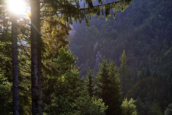 Berglandschaft Wildalpen