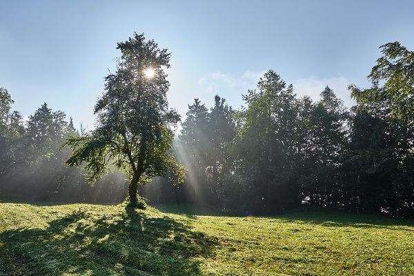 Landschaft