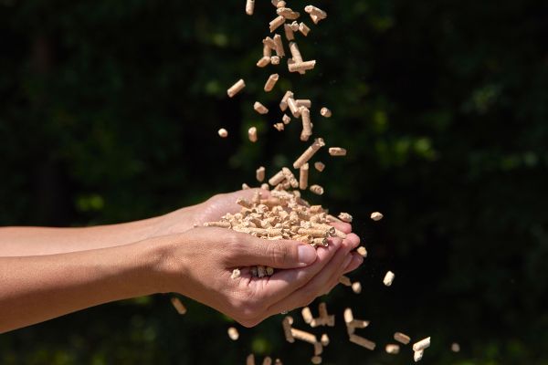 Pellets
