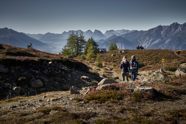 Zirbenwald