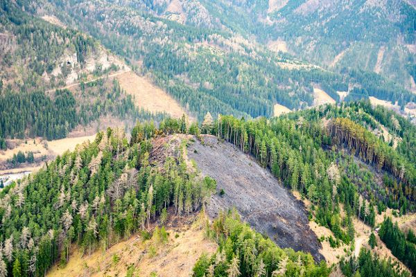 Waldbrand