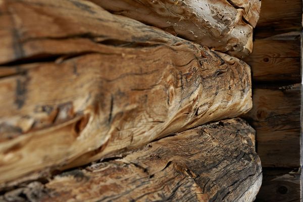 Holz