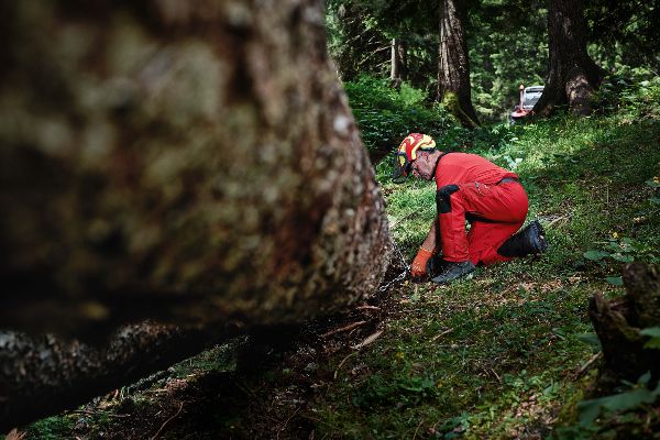 Händische Holzverarbeitung