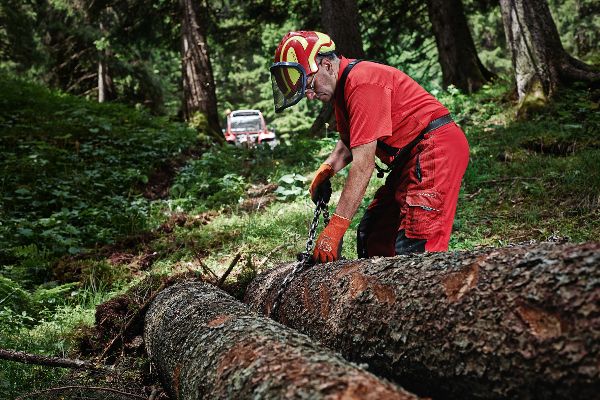 Händische Holzverarbeitung