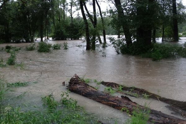 Hochwasser Fischlham Traun 2013