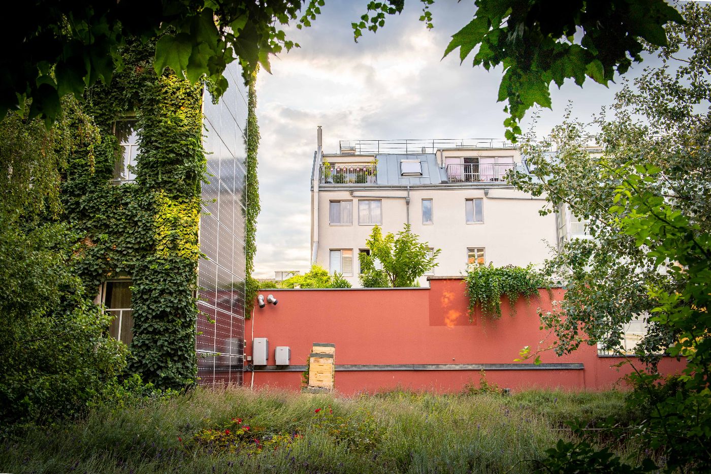 Fassadenbegrünung