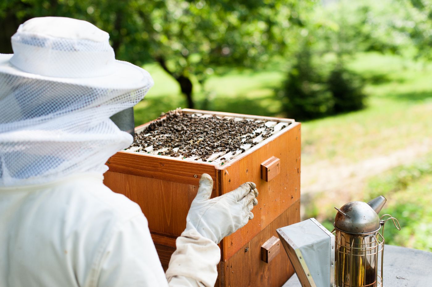 Bienen