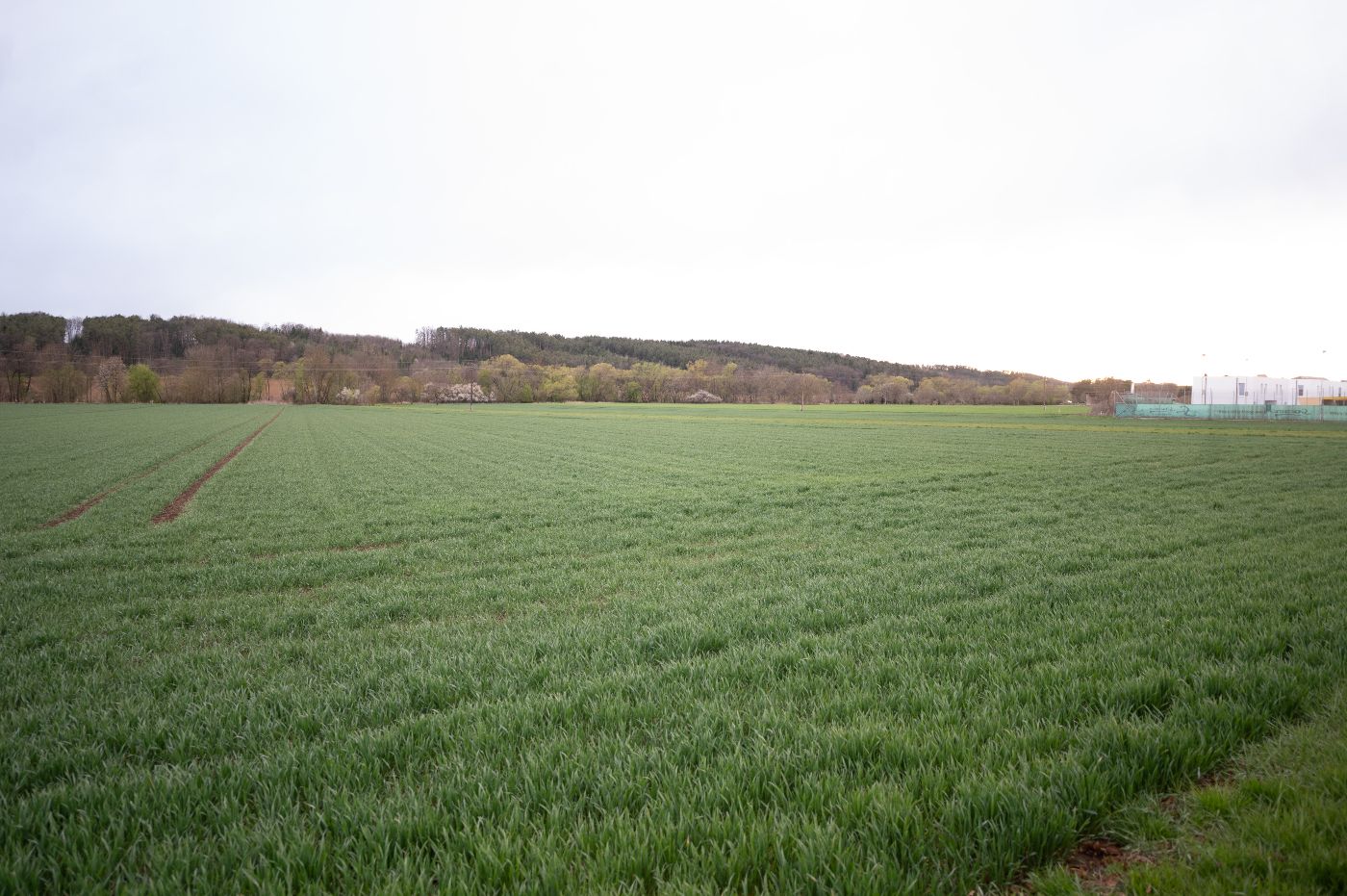 Landschaft