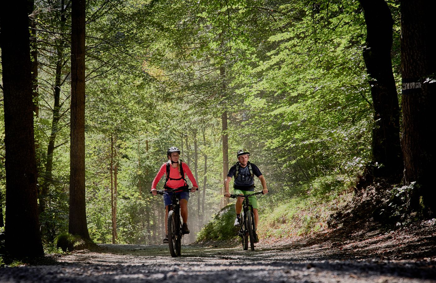Mountainbike
