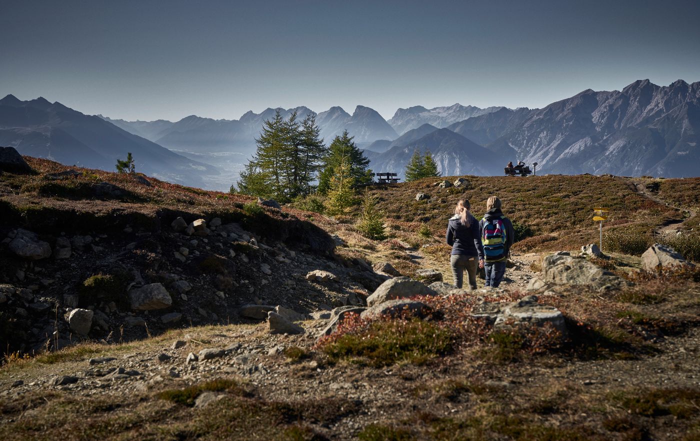 Zirbenwald