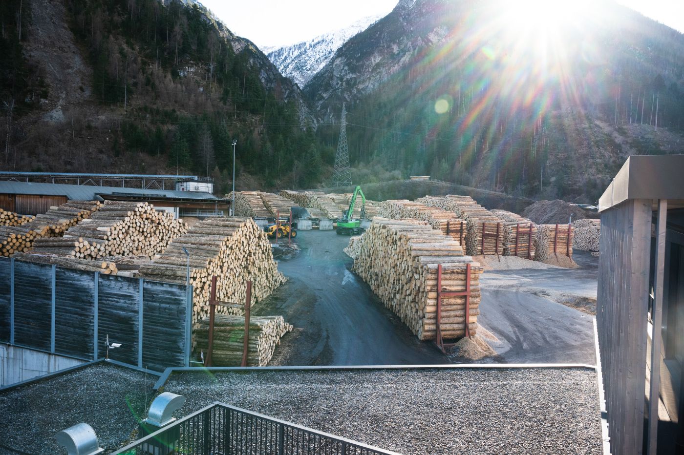 Holz