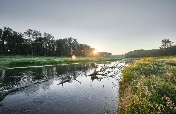 Biberbauten