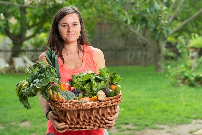 Ab-Hof-Obst- und Gemüseverkauf
