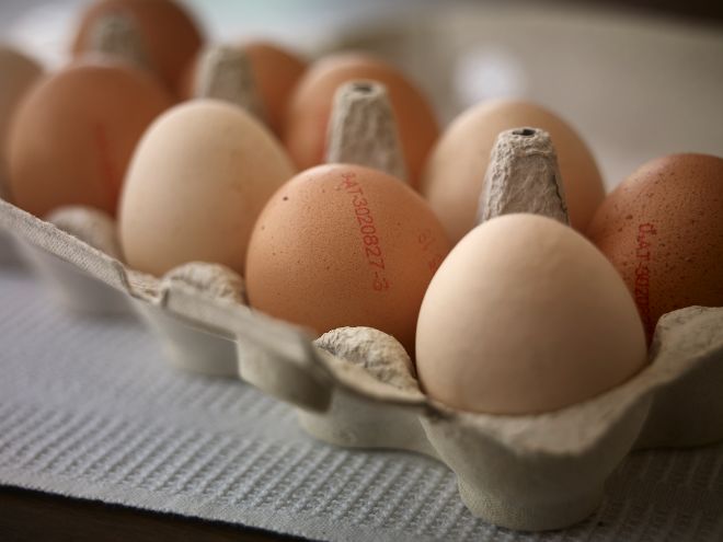 Eier