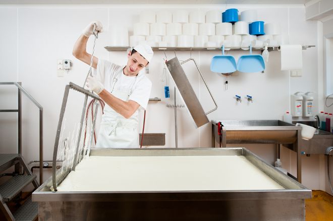 Käseproduktion