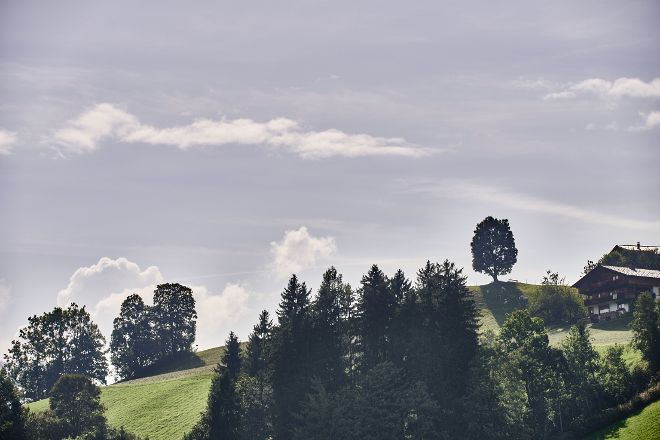 Landschaft