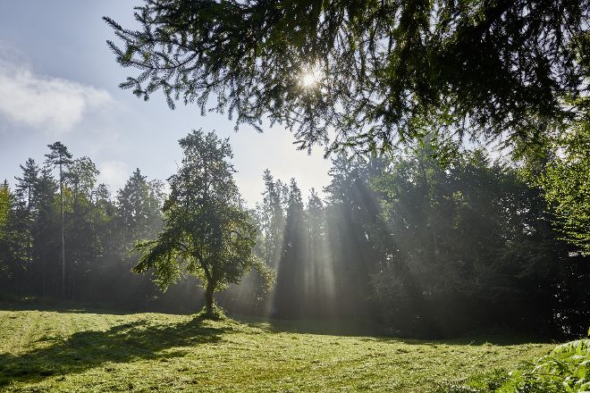 Landschaft