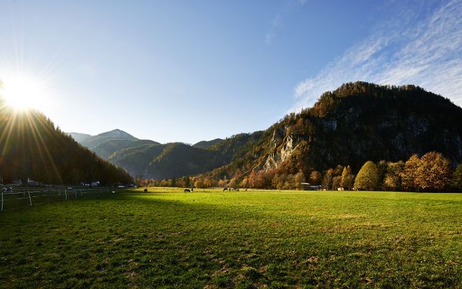 Berglandschaft mit Wiese