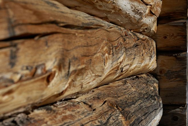 Holz