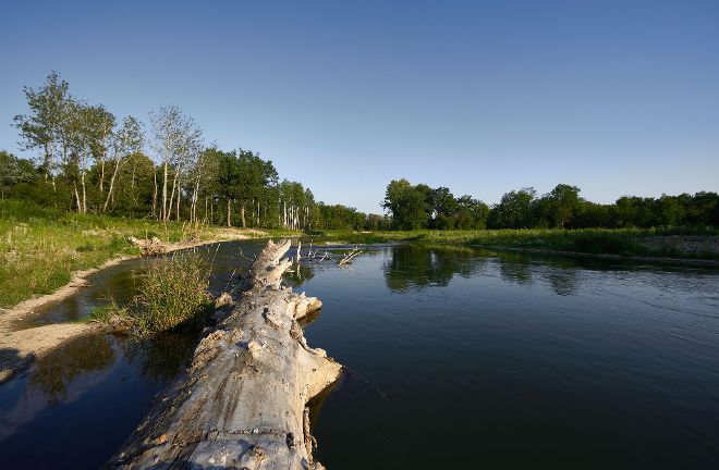 Traisenmündung beim Donaukraftwerk Altenwörth