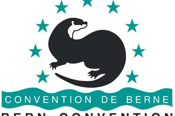 Logo Bern Convention