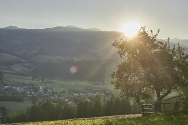 Blick in die Landschaft mit Baum am rechten Bildrand